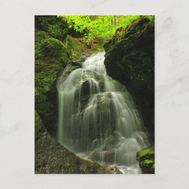 Postal Cascada de Mount Toby Roaring Falls (Anverso)
