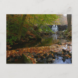 Postal Cascada de otoño y arroyo Pensilvania Naturaleza