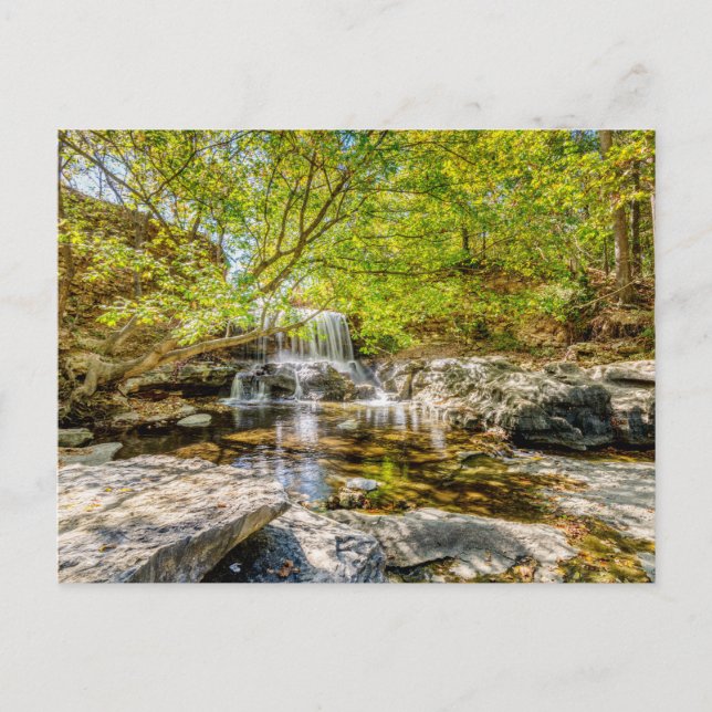 Postal Cascada De Tanyard Creek En La Postcarta Caída (Anverso)