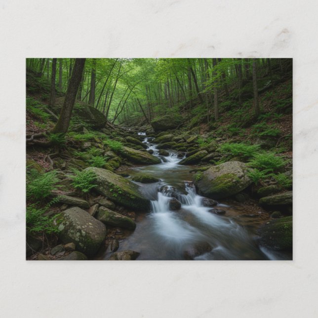 Postal cascada del bosque de Gatlinburg, Tennessee (Anverso)