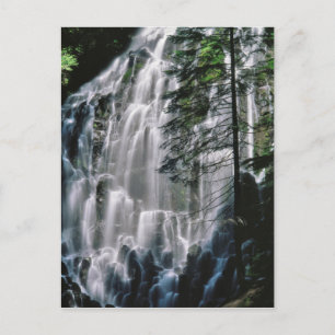 Postal Cascada en bosque, Oregón