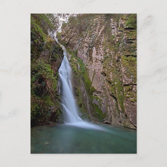 Postal Cascada en bosque profundo (Anverso)