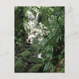 Postal Cascada En Dominica