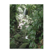 Cascada En Dominica