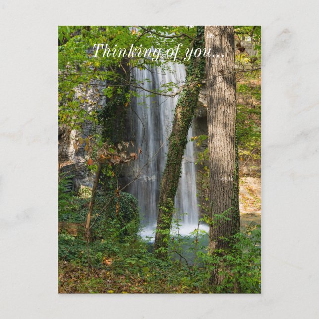 Postal Cascada En El Bosque (Anverso)