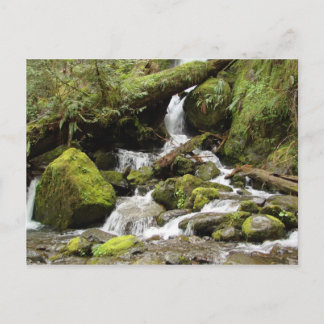 Postal Cascada en el lago Quinault