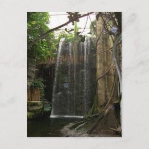 Postal Cascada en el zoológico