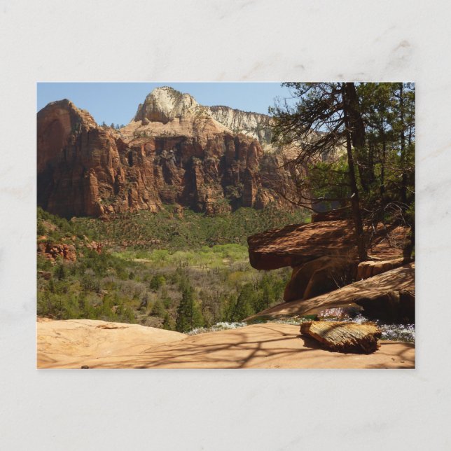 Postal Cascada en Emerald Pools en Zion National Park (Anverso)