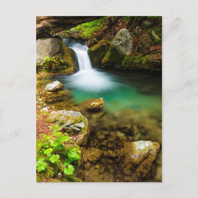 Postal Cascada en Hare Creek, California (Anverso)