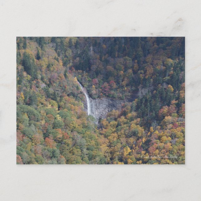 Postal Cascada en las montañas Blue Ridge, NC (Anverso)