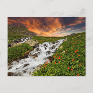 Postal Cascada en las montañas con flores