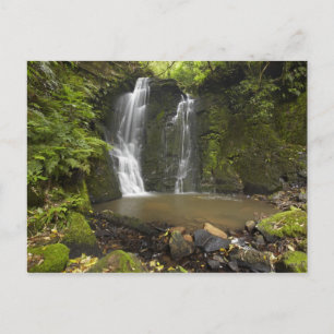Postal Cascada Horseshoe, cataratas Matai