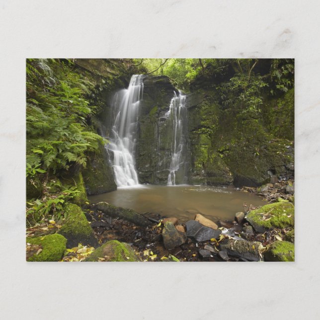 Postal Cascada Horseshoe, cataratas Matai (Anverso)