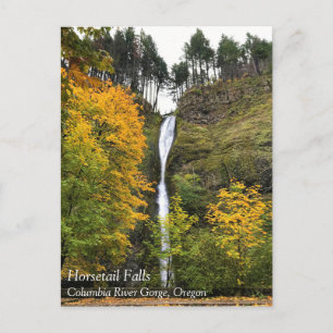 Postal Cascada Horsetail, desfiladero del río Columbia, O