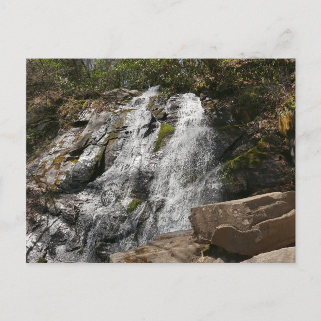 Postal Cascada Juney Whank en Smoky Mountains (Anverso)