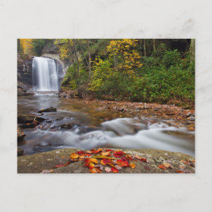Postal Cascada Looking Glass Bosque Nacional Pisgah