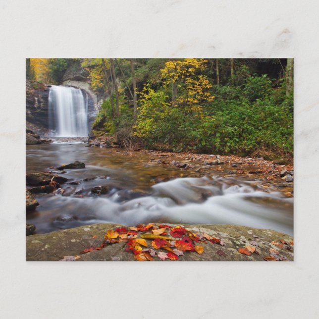 Postal Cascada Looking Glass Bosque Nacional Pisgah (Anverso)