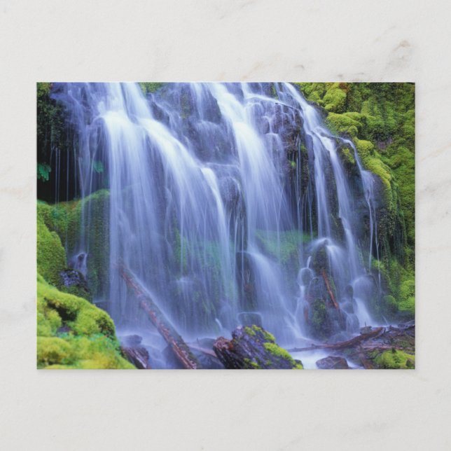 Postal Cascada Proxy en las Montañas Cascade Centrales de (Anverso)