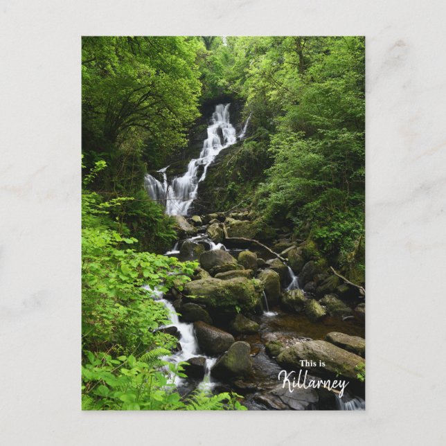 Postal Cascada Torq - Killarney Irlanda (Anverso)