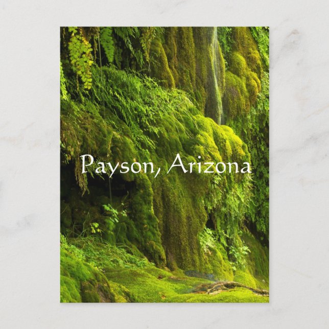 Postal Cascada verde en Payson, Arizona, (Anverso)