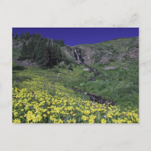 Postal Cascada y flores silvestres en prado alpino, 3