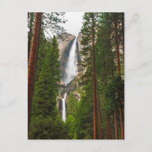 Postal Cascada Yosemite a través del bosque