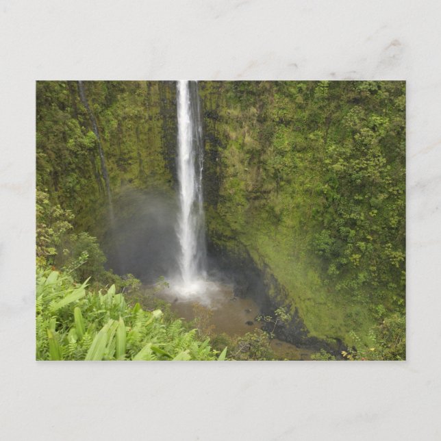Postal Cascadas de Akaka, Costa de Hamakua, Isla de Hawai (Anverso)
