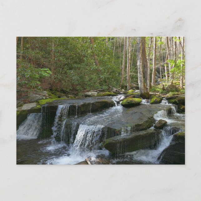 Postal Cascadas de Findlay II (Anverso)
