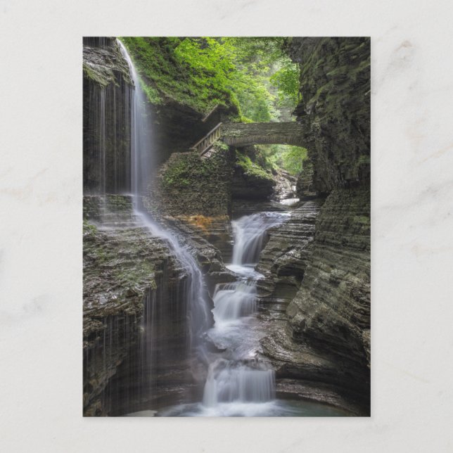 Postal Cascadas de primavera en Watkins Glen (Anverso)