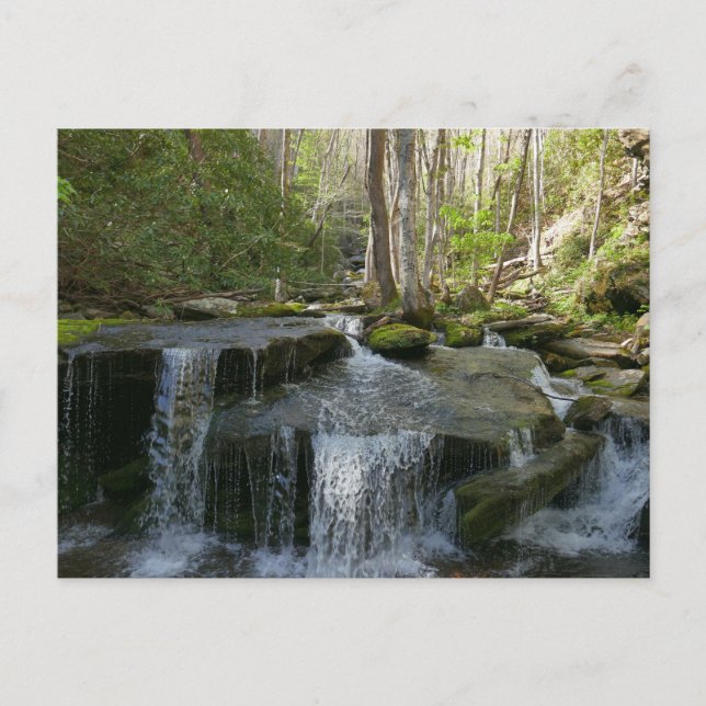 Postal Cascadas Findlay I (Anverso)