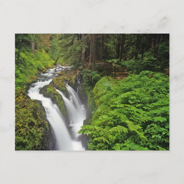 Postal Cascadas Sol Duc en el Parque Nacional Olímpico en (Anverso)