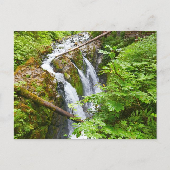 Postal Cascadas Sol Duc II en el Parque Nacional Olímpico (Anverso)
