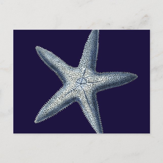 Postal Cáscaras de índigo IV (Anverso)