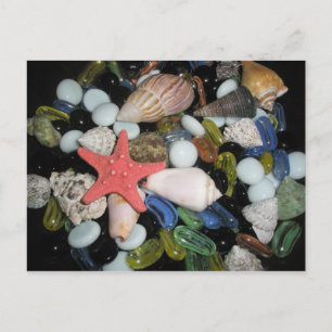 Postal Cáscaras y rocas del mar