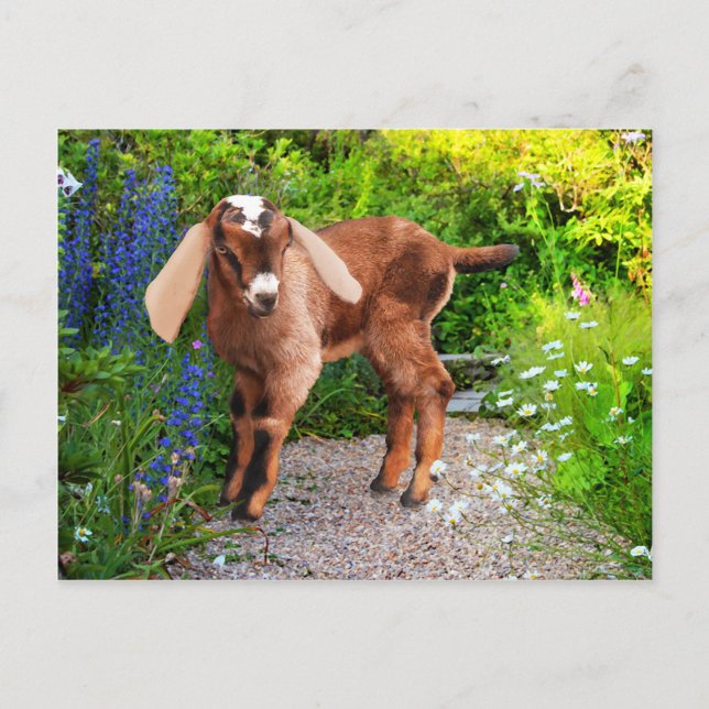 Postal "Casey" (Anverso)