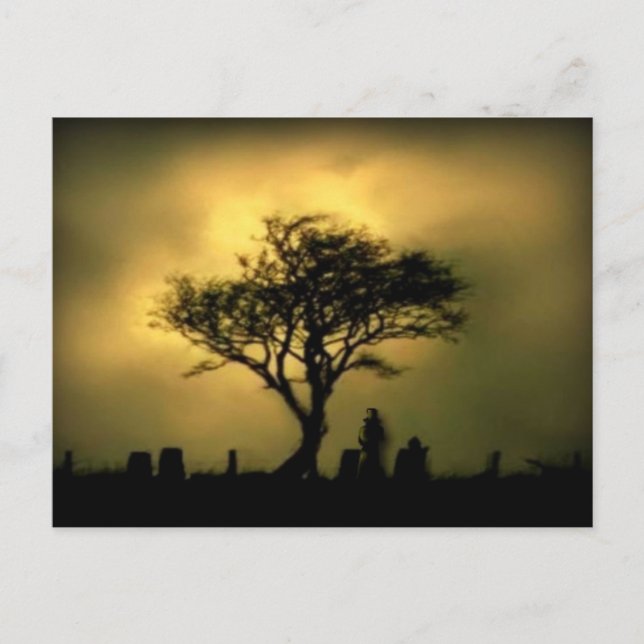 Postal Casi al atardecer (Anverso)