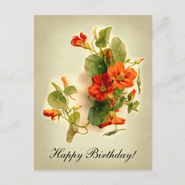 Postal Caso indio naranja (Anverso)