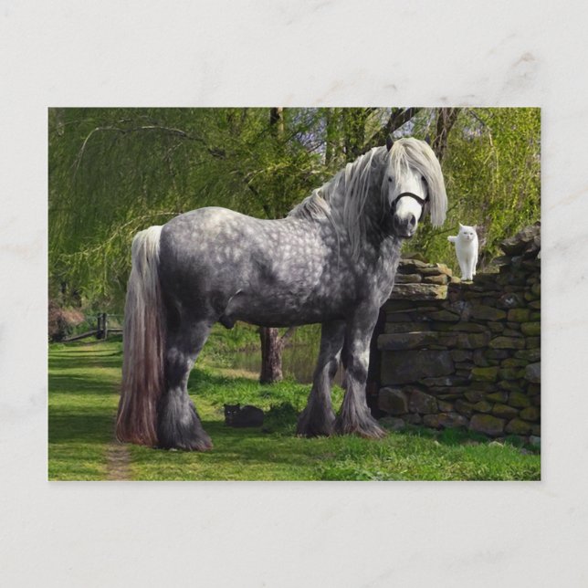 Postal "Caspio y sus gatos" (Anverso)