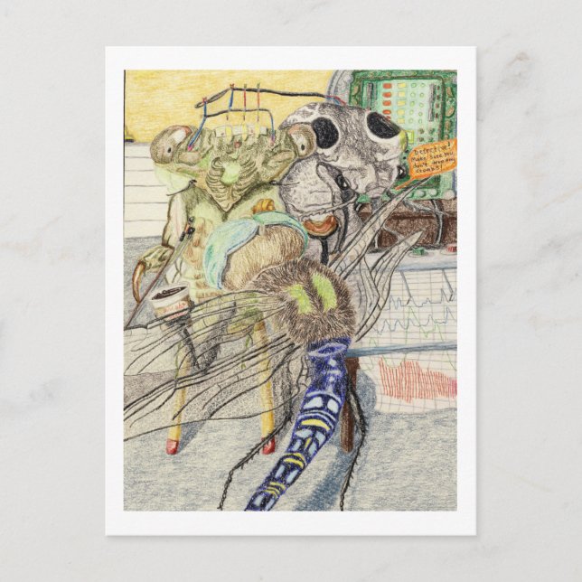 Postal Cassandra La Cicada Tiene Una Prueba De Detección  (Anverso)