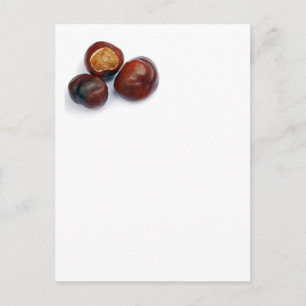 Postal castaño de caballo