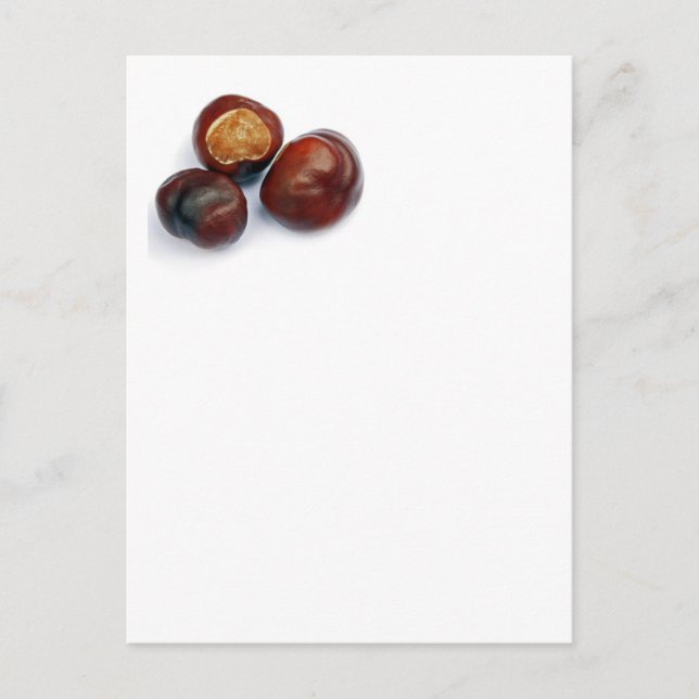 Postal castaño de caballo (Anverso)