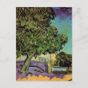 Postal Castaño en Flor por Vincent van Gogh