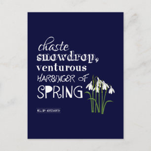 Postal Caste Snowdrop, el jengibre de primavera