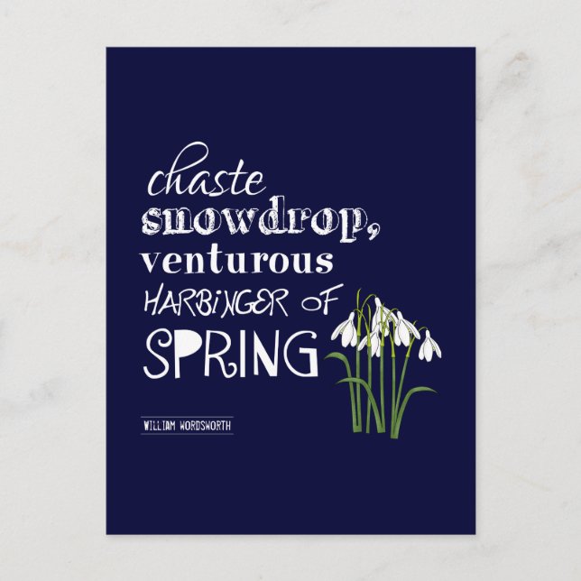 Postal Caste Snowdrop, el jengibre de primavera (Anverso)