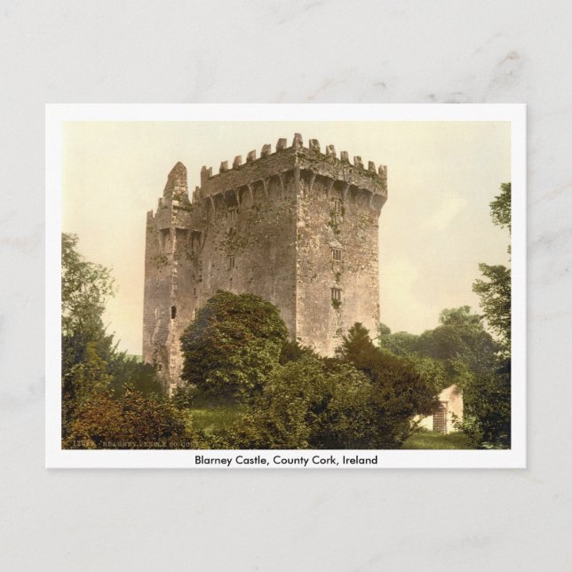 Postal Castillo de la lisonja, corcho del Co., Munster, (Anverso)