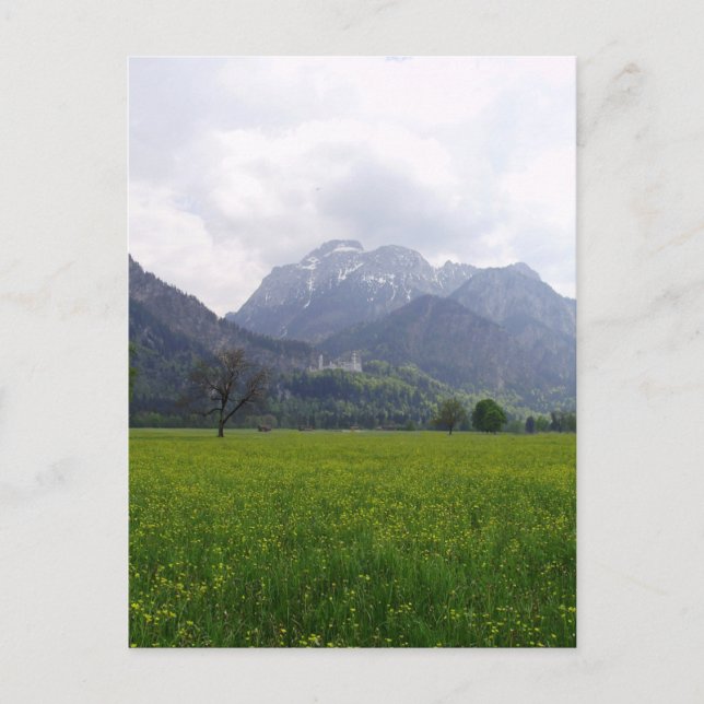 Postal Castillo de Neuschwanstein (Anverso)