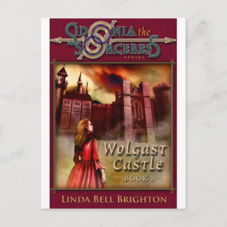 Postal Castillo de Wolgast