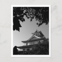 Castillo Hikone: Japón