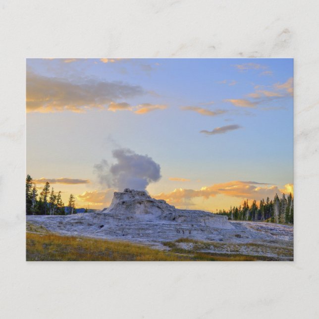 Postal Castle Geyser en Sunset, Parque Nacional Yellowsto (Anverso)