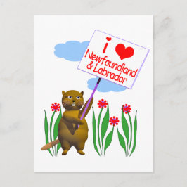 Postal Castor Canadiense Ama Terranova y Labrador